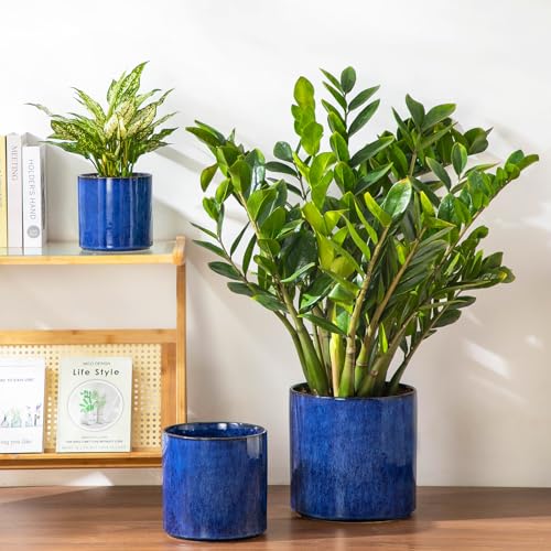 Pots de fleurs en céramique avec trous de drainage vancasso bleu