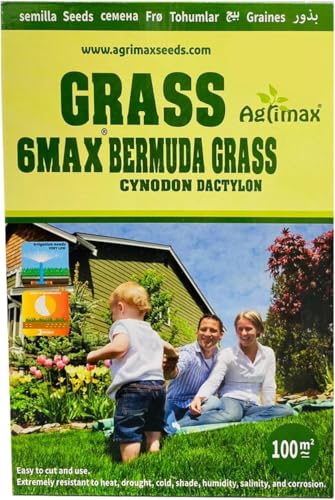 Bermuda Grass 6Max Seeds Cynodon Dactylon 1kg By Agrimaxgroup