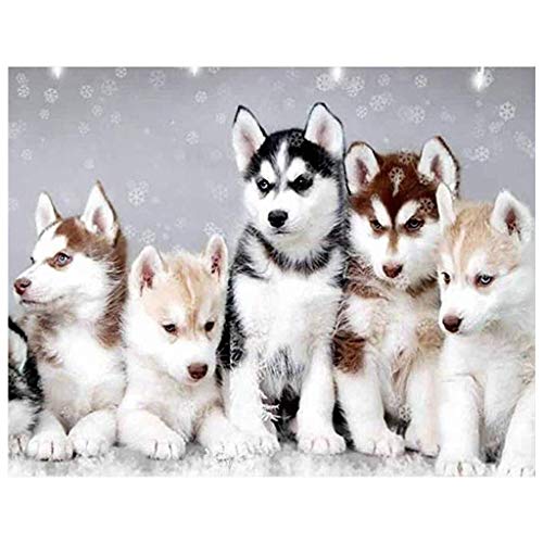 (40x50cm) DIY Square Diamond Painting Full Drill Kit de Broderie au Point de Croix Carré Accessoires Broderie Diamant Famille Husky Peinture Diamant 5D...