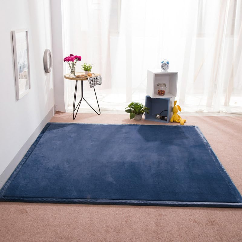 DSSHENGDS Living Room Home Decor Coral Fleece Area Rug,Modern Nursery Washable Kids Bedroom Rug,Girls Boys Soft Non-slip Soft Mat,2cm Thick Kids Carpet-F- 150 * 300cm