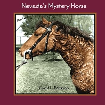 Nevada's Mystery Horse