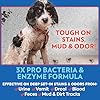 OUT! PetCare Pet Odor & Stain Remover Spray, Carpet & Floor Cleaner, Deodorizer for Dogs & Cats, Made in USA, 32 fl oz (2 Pack)