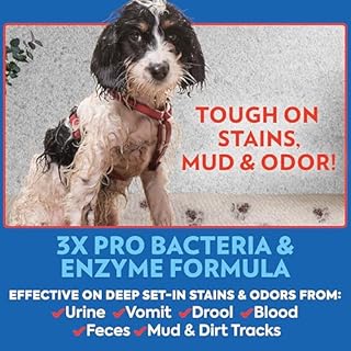 OUT! PetCare Pet Odor & Stain Remover Spray, Carpet & Floor Cleaner, Deodorizer for Dogs & Cats, Made in USA, 32 fl oz (2 Pack)