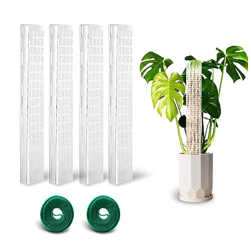 Find The Best Moss For Moss Pole Reviews & Comparison Katynel