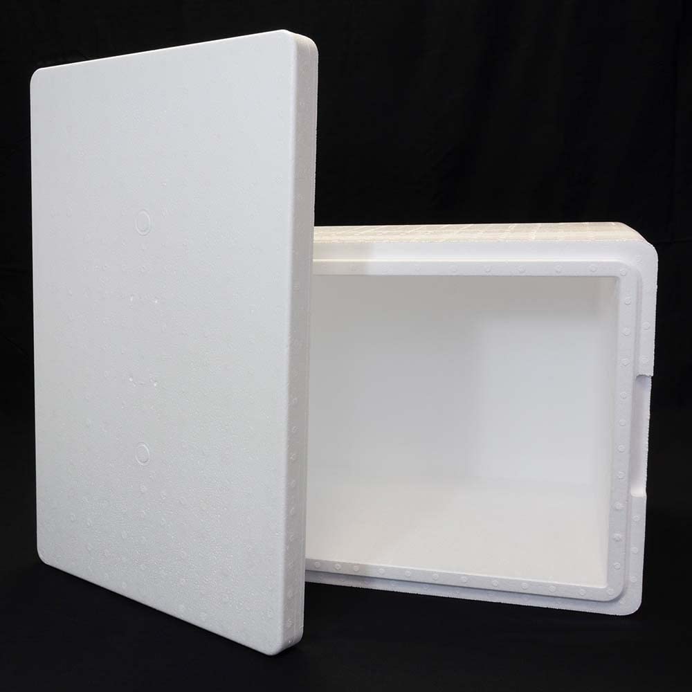 Terra Exotica Styroporbox Pro/Thermobox - 50,3 Liter - 59,5 x 39,5 x 36,5 cm/Wandstärke 3,5 cm - Styrobox