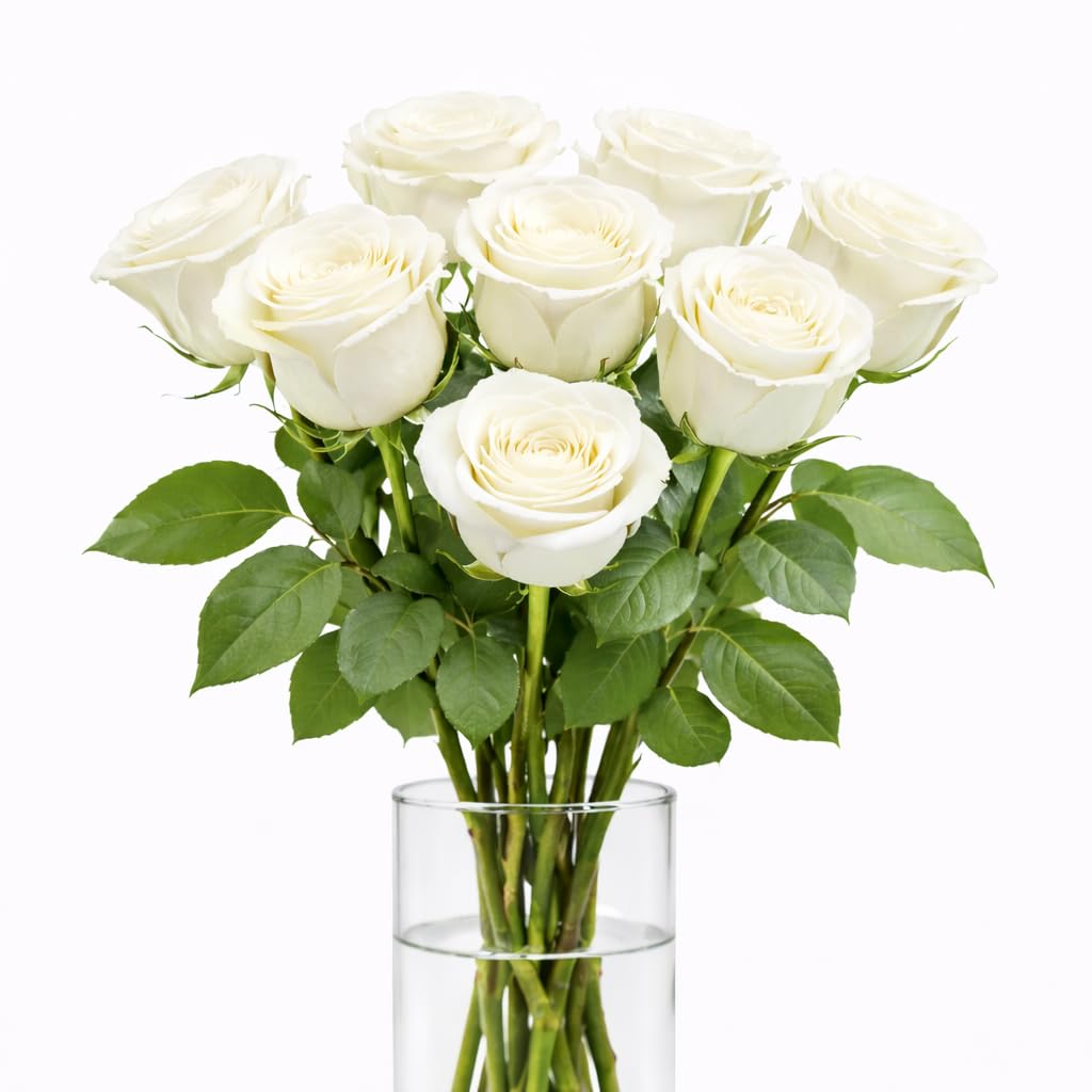 eFiori - 7 Rose Bianche VERE, CONSEGNA A MANO da un FIORISTA -FIORI VERI - Dedica Personalizzata e Consegna Fiori a Domicilio - Rose a Calice Grande