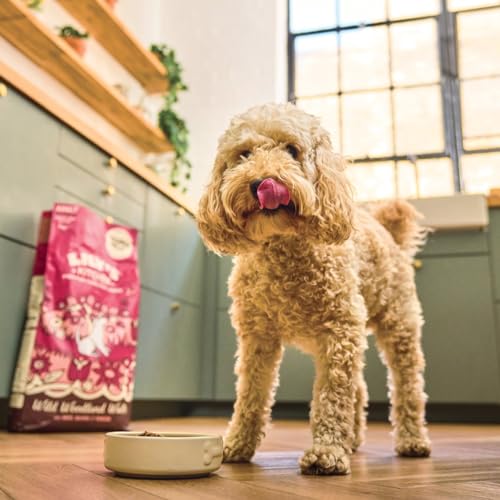 Lily's Kitchen Mit natürlichen Zutaten hergestellt Für ausgewachsene Hunde Trockenfutter Ente Lachs & Hirsch Getreidefreie Rezeptur 2.5kg