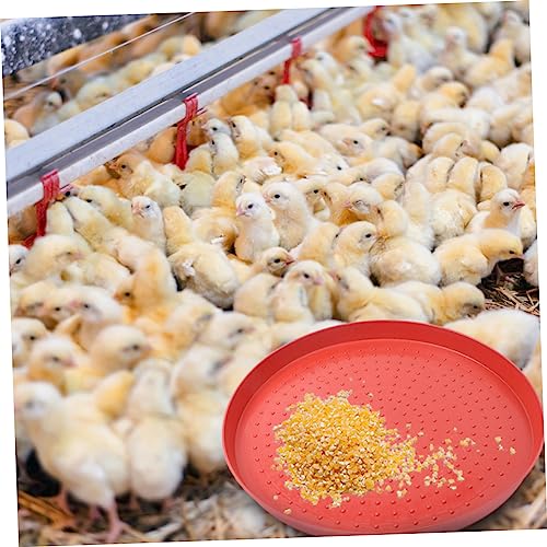 HANABASS 3stücke Teiliges Hühner-futtertabletts Aus Robustem Kunststoff Wetterfest Und Multifunktionale Geflügelfutter-trays Für Hühner Enten Tauben Zur Sicheren Fütterung