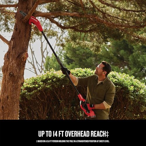 CRAFTSMAN V20 Cordless Pole Saw, 14-Foot, Battery and Charger Included, Pole Saws for Tree Trimming, Up to 325 Cuts per Charge, 4.0Ah, Electric Tree Trimmer (CMCCSP20M1)