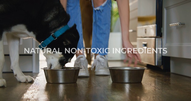 Hemp Hip and Joint Supplement for Dogs - Glucosamine for Dogs - 170 Joint Pain Relief Treats - Chondroitin, MSM, Hemp Oil - Advanced Health Supplement - Mobility Support Chews - Made in USA - image 7