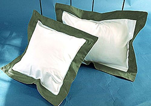 1 Pair Border Pillow Sham Egyptian Cotton 500tc Moss Queen (20 x 30 inch)