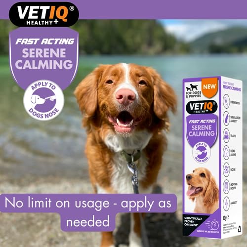 VETIQ Serene Calming Ointment For Dogs & Puppies, Fast Acting Natural Anxiety Relief, Simple Application to Dogs Nose - Image 4