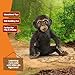 Schleich Wild Life - 2