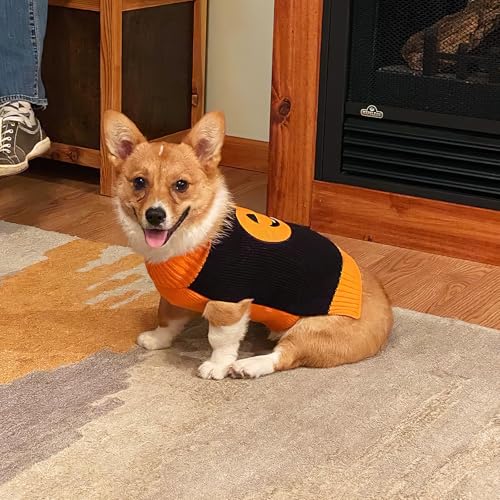 Hundepullover Halloween Kostüm Hund Kürbis Hunde Pullover Warme Halloween Hundepullover für Kleine Mittelgroße Grosse Hunde Party Geschenk für Haustier Puppy und Katzen Schwarz XXL