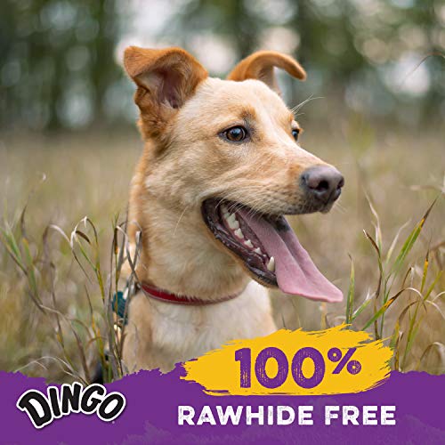 Dingo Porkie Rolls 15 Count, Pork Hide Chews For Dogs, Made With Real Chicken #TOP4