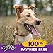 Dingo Delights 100% Rawhide Free Dog Treat Made with Real Chicken for Small, Medium, and Large Dogs 9-Count