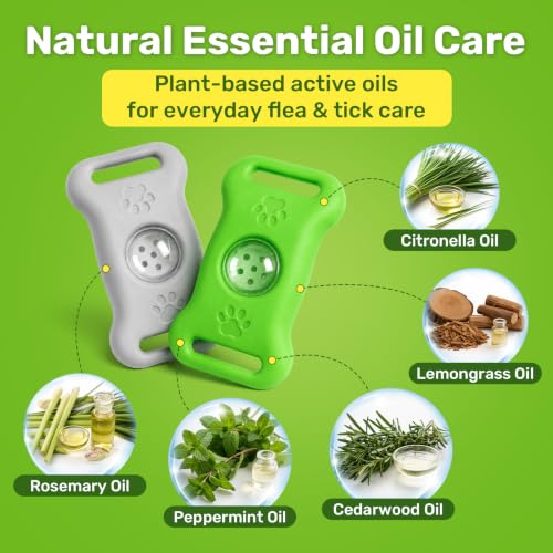 View 5
