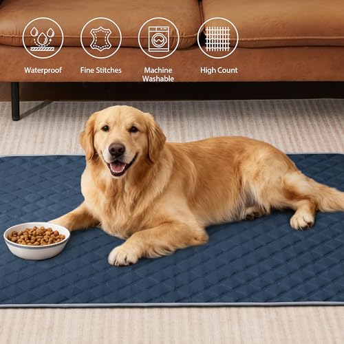 Image of Eterish Reusable Washable Pee Pads for Dogs Large /Extra Large 36'' x 41'' 2 Pack, Absorbent Pet Puppy Dog Training Pads Non-Slip, Waterproof Whelping Potty Pads for Dogs Leak-Proof