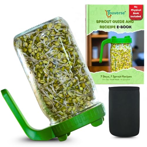 Image of Sprouts Maker Glass Jar - 950ml Large Sprouts Maker Jar for Home Use | BPA-Free Sprouting Jar with Drain Lid Handle | Airflow, Odor-Free, Easy Drainage, and Hygienic Glass Design (Green)