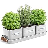 Green Thumbz 3 STK. Kr&auml;utertopf - Kr&auml;utert&ouml;pfe f&uuml;r Deinen Kr&auml;utergarten und Fensterbank Innen Dekoration - Basilikum Topf mit Ledergriffen & Untersetzer - K&uuml;chenkr&auml;uter Topf (Warmer Stein)