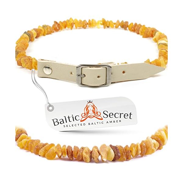Collar for Dogs and Cats – Dog Collar – Genuine Raw Baltic Amber Beads – Accessory for Your pet – 100% Natural Amber Beads – Size Options (11.8″ – 13.7″ (30-35cm)) Collar for Dogs and Cats – Dog Collar – Genuine Raw Baltic Amber Beads – Accessory for Your pet – 100% Natural Amber Beads – Size Options (11.8″ – 13.7″ (30-35cm))