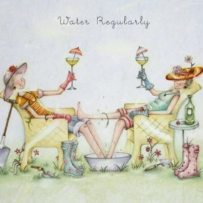 Berni Parker Greetings Card Water Regularly - Blank Greetings Card by (LL29)