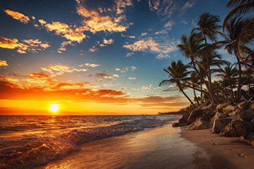Sunset Over Tropical Beach Poster Palm Tree Ocean Photo Photograph Setting Sun Island Poster Nature Scene Palm Tree Scenic Relaxing Calm Sea Sand Beautiful Cool Wall Art Print Poster 18x12