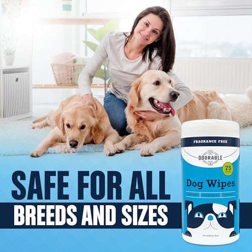 Dog Grooming Wipes – 75 Fragrance-Free Cleaning Wipes for Dogs & Puppies – Advanced Odor Neutralization for Paws, Body & Butt – Safe & Gentle for Pets, Alcohol-Free Pet Care Dog Grooming Wipes – 75 Fragrance-Free Cleaning Wipes for Dogs & Puppies – Advanced Odor Neutralization for Paws, Body & Butt – Safe & Gentle for Pets, Alcohol-Free Pet Care