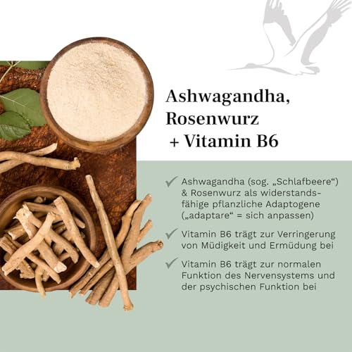 Ashwagandha Kapseln - mit Rosenwurz & Vitamin B6-270 vegane Kapseln für 3 Monate - indische Schlafbeere - ohne Zusatzstoffe - laborgeprüft - Balanced Vitality – Bild 4