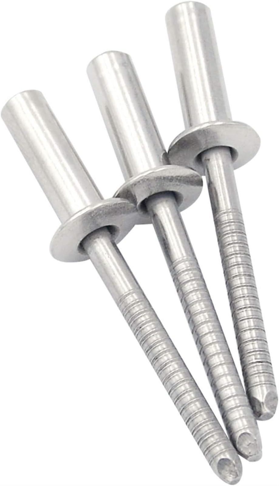 Rivetti di fissaggio Nutsert, viti bulloni, rivetti, elementi di fissaggio, viti M3.2/M4/M4.8/M6.4 Rivetto cieco a testa tonda in acciaio inossidabile con estremità chiusa Rivetti cavi sigillati Rivet