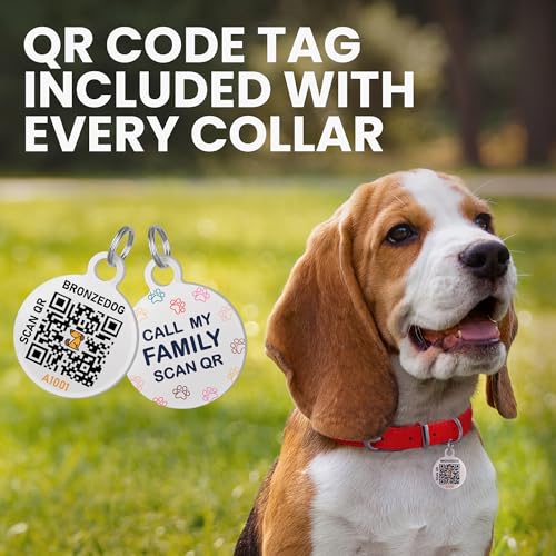 Rolled Leather Dog Collar with ID Tag
