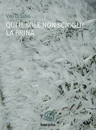 Qui il sole non scioglie la brina