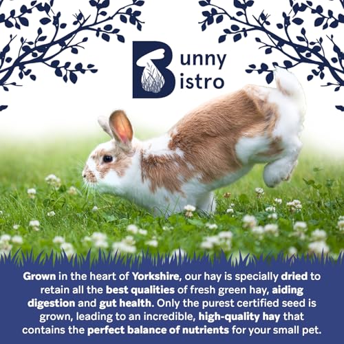 Bunny Bistro Premium Timothy Hay 1st Cut 4kg | Natural UK Grown Hay for Rabbits, Guinea Pigs & Small Animals, High in Fibre, Dental Care, Dust Extracted, Eco-friendly, Grown in Yorkshire - Image 6