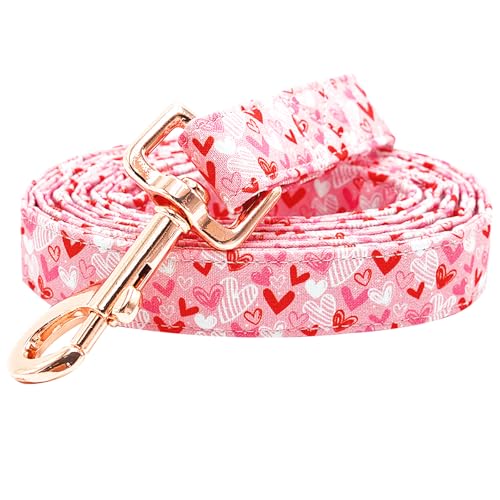 Bobo Rainbow Dog Leash-Valentine's Holiday Love Heart Print Boy/Girl Durable Strong Dog Leashes Heavy Duty Comfortable Padded Pet Leash for Small Medium Large Dogs