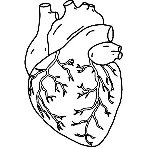 'Human Heart' Rubber Stamp - Unmounted Design for Crafting & Scrapbooking, A7 (RS00032382)