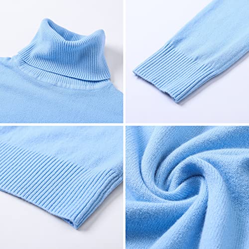 Image of DAIMIDY Turtleneck Sweaters for Women Long Sleeve Pullover Tops | Knitted Material| Soft, Warm and Breathable| High Resilience and Tensile Strength Design| Business Casual Tops| Dailywear