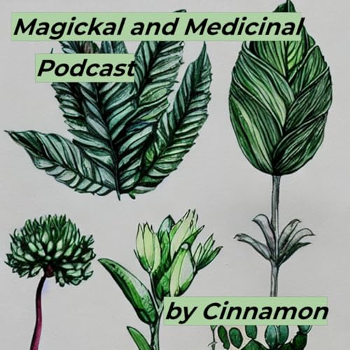 Magickal and Medicinal Podcast By Cinnamon cover art