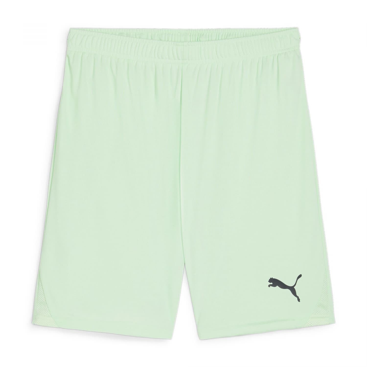 PUMA Unisex Teamgoal Jr Knitted Shorts, Fresh Mint-puma Black, 164 EU
