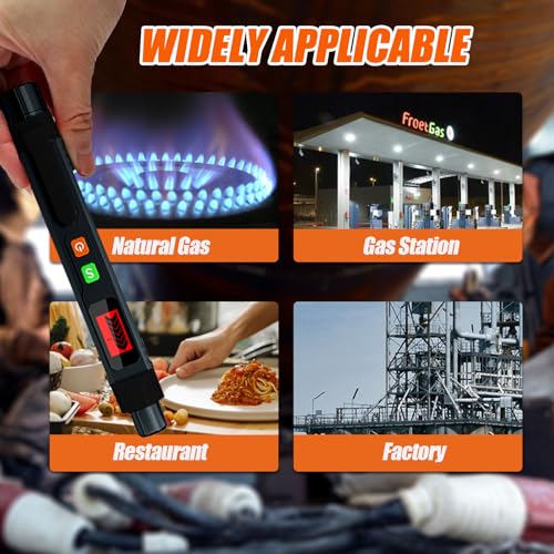 Renifleur de gaz propane et méthane portable noir