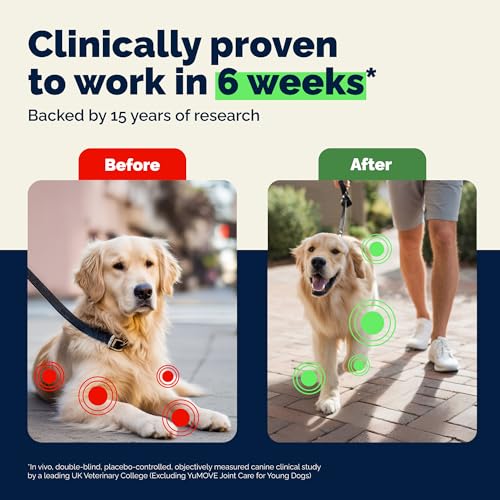 Image of YuMOVE Senior Dog Joint Supplement with Glucosamine & Green Lipped Mussel | ActivEase GLM with Hyaluronic Acid & Omega 3, Chewable Tablets for Aging Dogs 7+, Hip & Joint Mobility Support