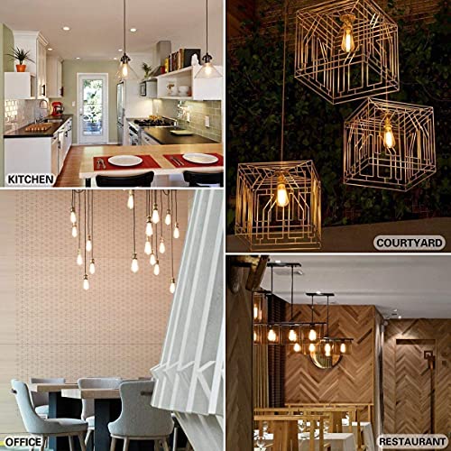 Image of Lyse Decor E27 Bulbs /E26 Screw Dimmable Industrial Filament Edison Tungsten Cage Bulb (Warm White, 40Watt, Pack of 3)