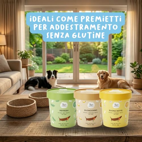 Routine Box: Natürliche Kekse für Hunde Set 3 Packungen (Guten Morgen Capuccino, Refresh, Gute Nacht mit Kamille) | Leckerer und gesunder Hundesnack, geeignet für alle Größen | 300 g | Hygge Dog