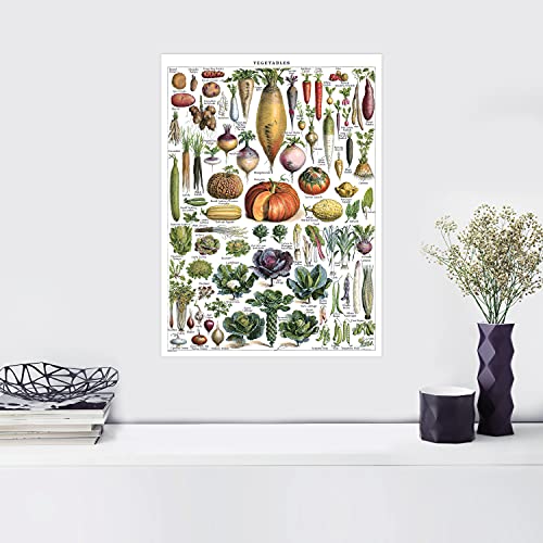 Vintage Fruits & Vegetables Poster Prints - Botanical Identification Reference Chart - Kitchen Decorations - Set of 2 Posters (LAMINATED, 18" x 24") - Image 6