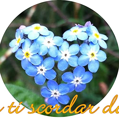 Couverture de NON TI SCORDAR DI ME