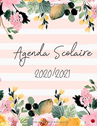 Télécharger Agenda scolaire 2020 2021 fleur: Agenda scolaire 2020 2021 fille| Agenda scolaire 2020 2021 | Emploi Livre eBook France