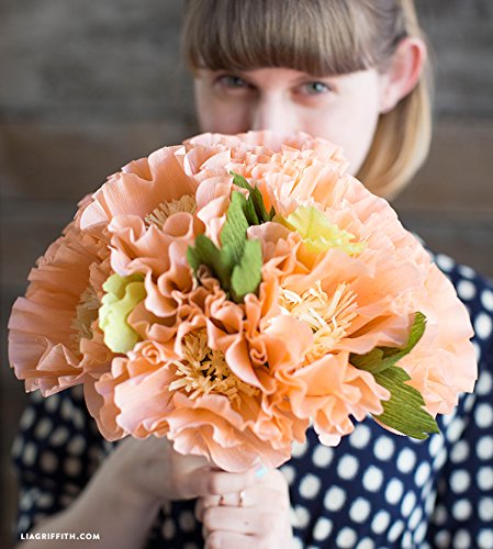 Lia Griffith rolo dobrável de papel crepe extra fino, Coral, 10.7-Feet, 1