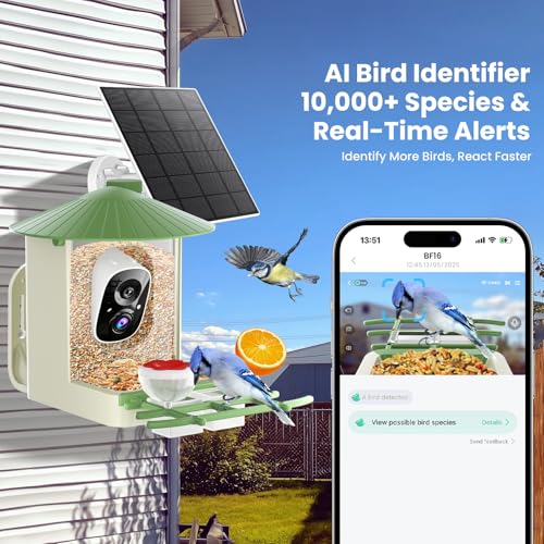 Image of SOLIOM Smart Bird Feeder with Camera with Solar Panel - 2K HD Live View, AI Bird Identifier, Birds Arrival Alerts, DIY Birdseed Add-on, 2.4G WiFi- Wireless Outdoor Gift for Birdlovers