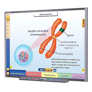 Misc. NewPath Learning Chromosomes, Genes, and DNA CD-ROM, Single-user license Book