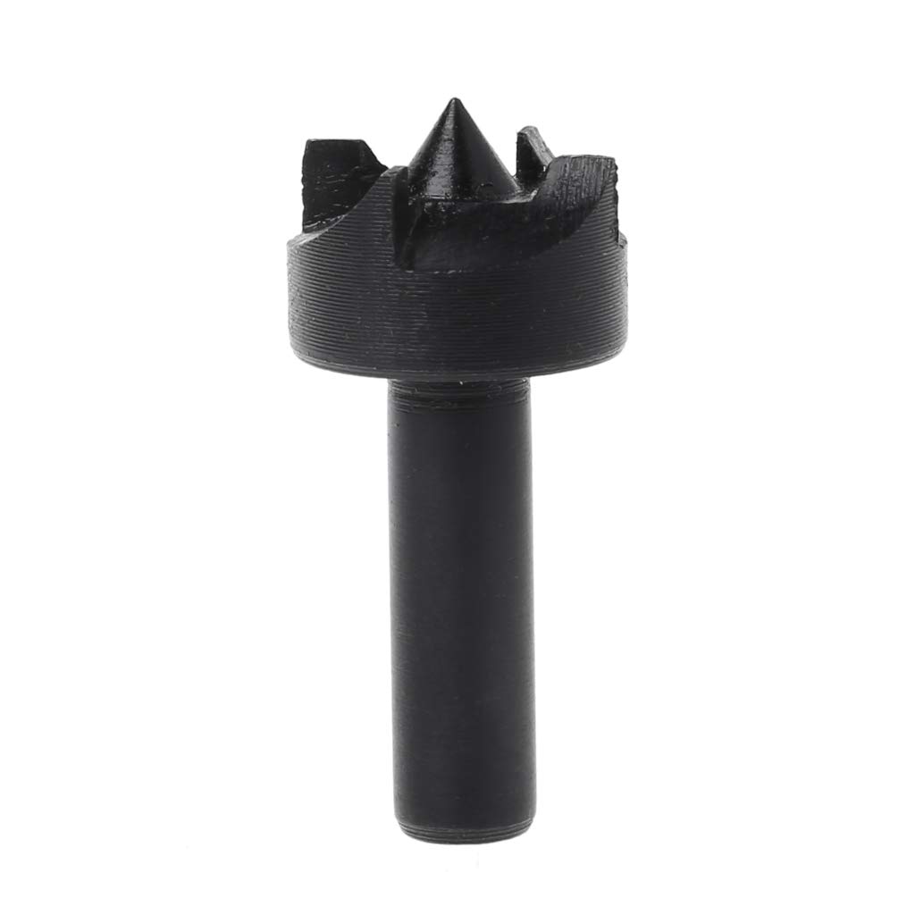 EsportsMJJ 6Mm Gambo In Acciaio Inox Prugna Fiore Ditale Trapano Bit Dead Center Per La Mini Macchina Tornio