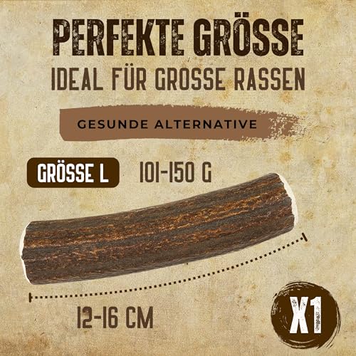 Hirschgeweih Hund – Kaustab Naturkauer | Zahnpflege | Ohne Zusatzstoffe – Kira&Gara® (L · 101-150g · 1 Stück) – Ansicht 4